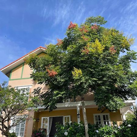 Bich Dao Boutique - Dalat Hotel Екстериор снимка