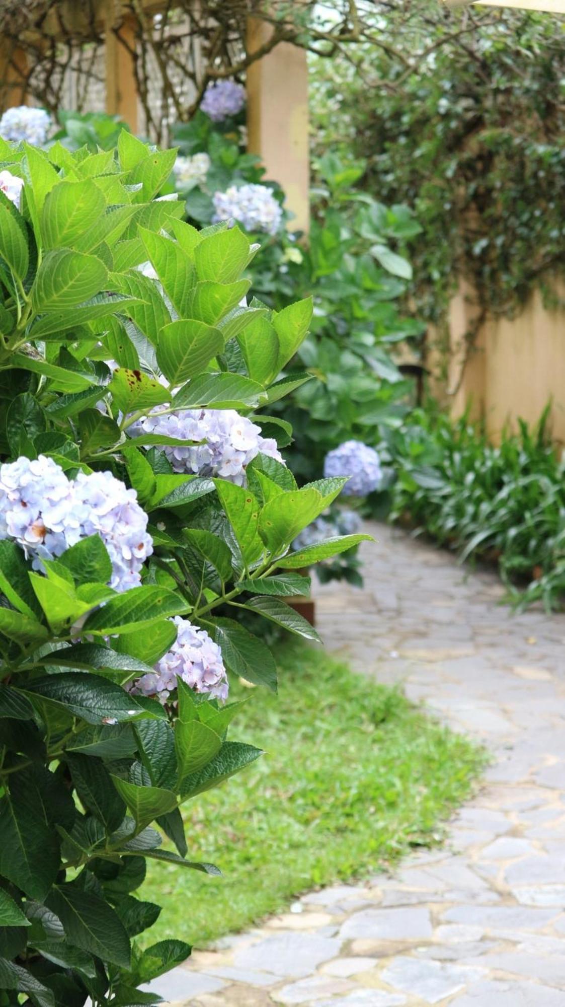 Bich Dao Boutique - Dalat Hotel Екстериор снимка