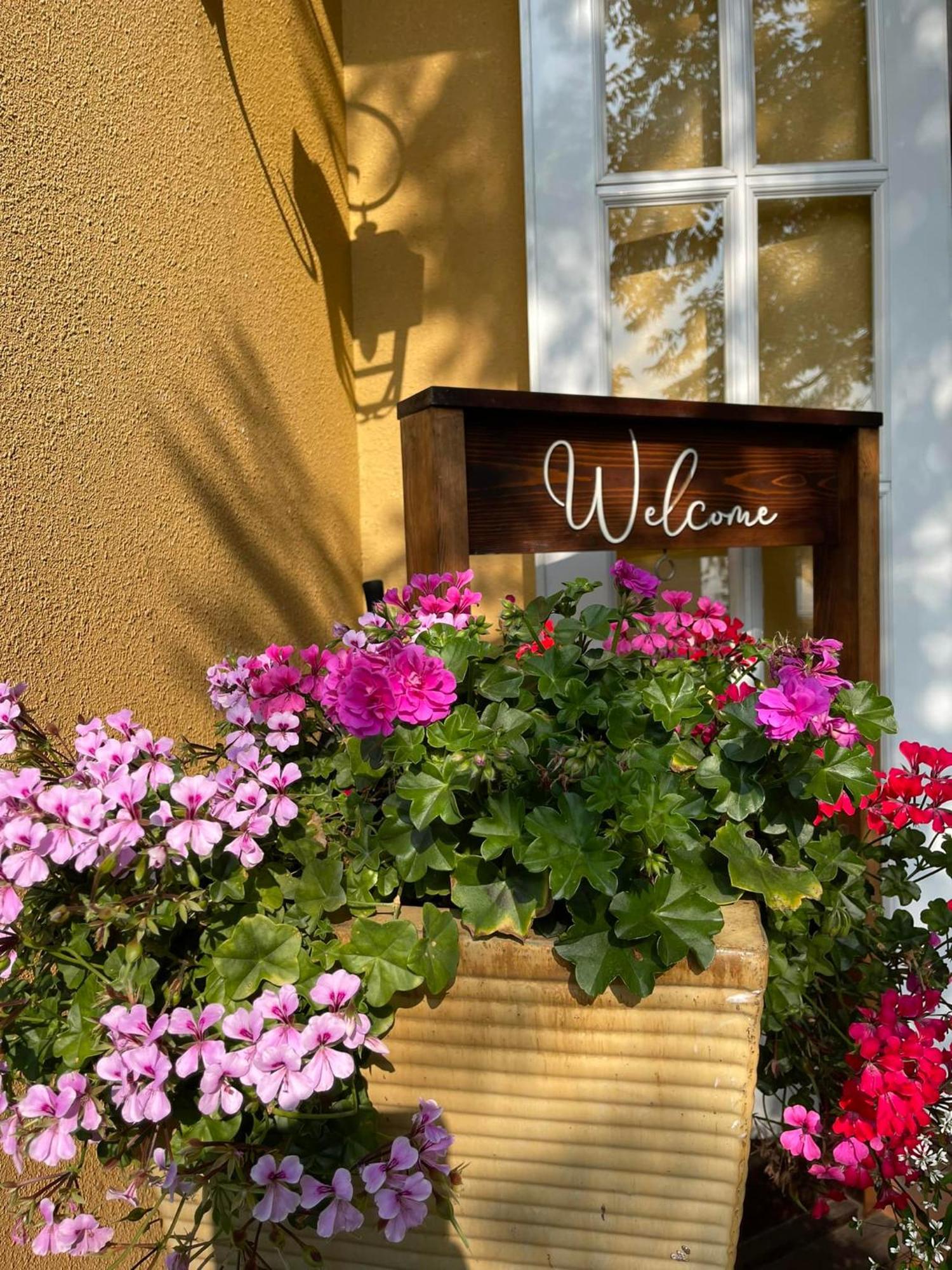 Bich Dao Boutique - Dalat Hotel Екстериор снимка
