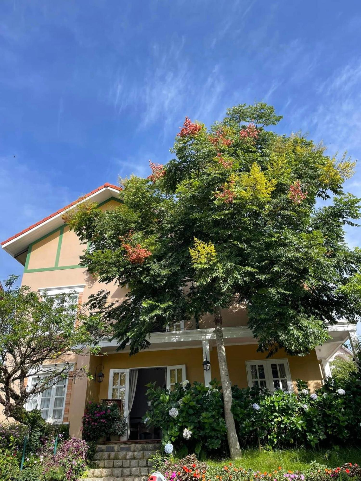 Bich Dao Boutique - Dalat Hotel Екстериор снимка