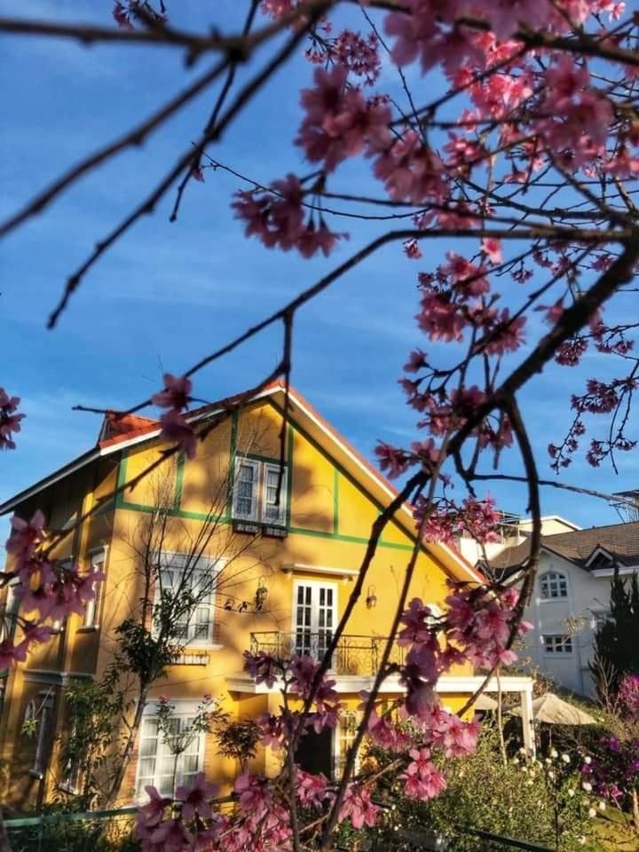 Bich Dao Boutique - Dalat Hotel Екстериор снимка