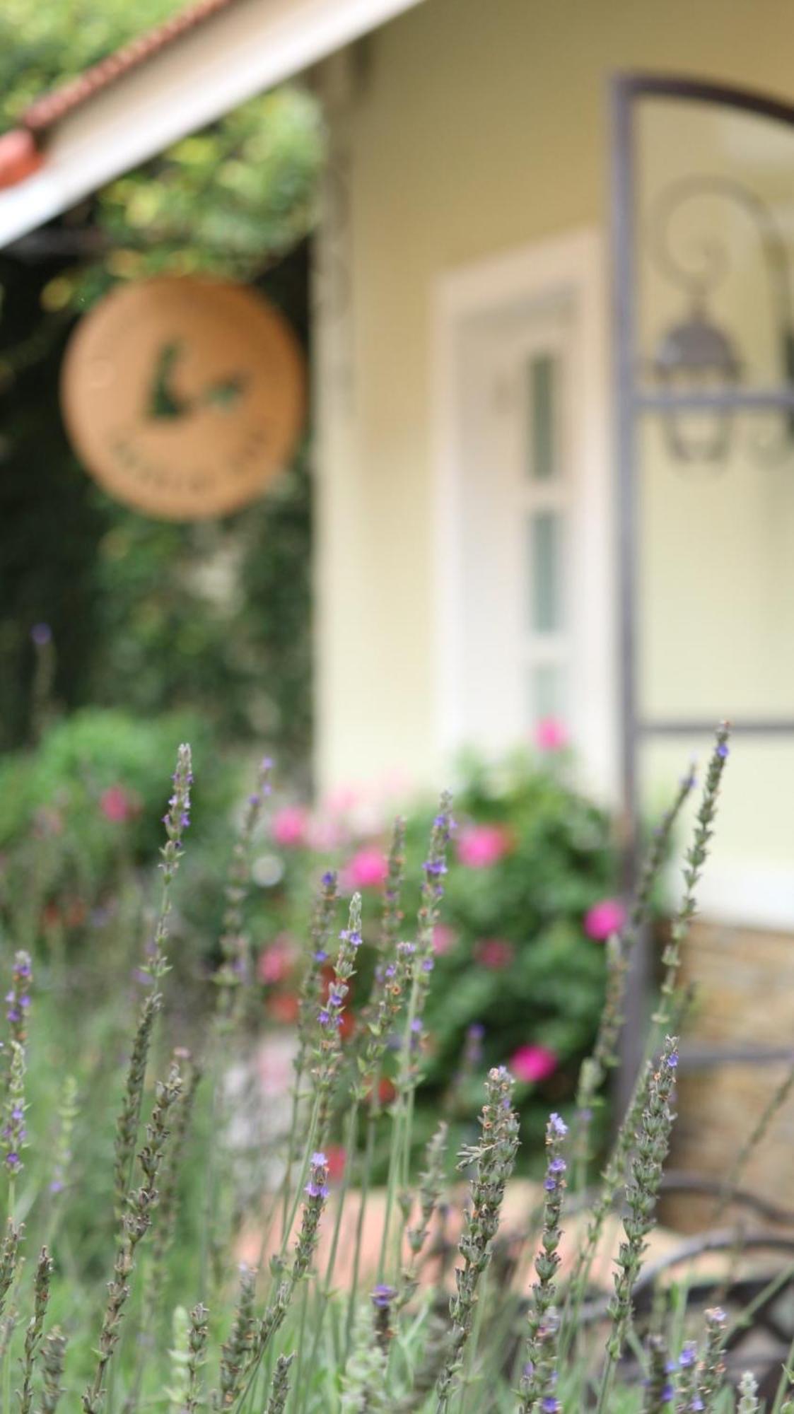 Bich Dao Boutique - Dalat Hotel Екстериор снимка